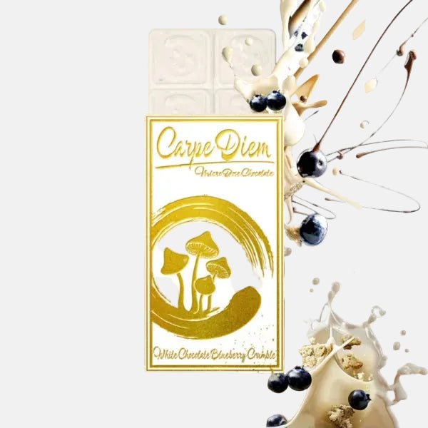 Carpe Diem Chocolate Bar – Blueberry (Box of 6) - Tree Spirit Wellness