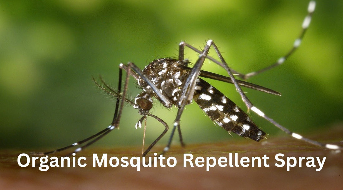 5 Surprising Reasons Lemongrass Bug Spray is the Ultimate Organic Mosquito Repellent Spray - Tree Spirit Wellness 