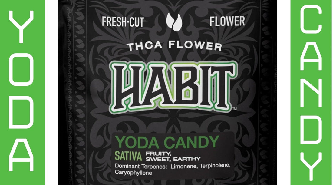 Candy-Coated Zen: How Yoda Candy and THCA Flower Are Supposed to Fix All Your Problems - Tree Spirit Wellness 