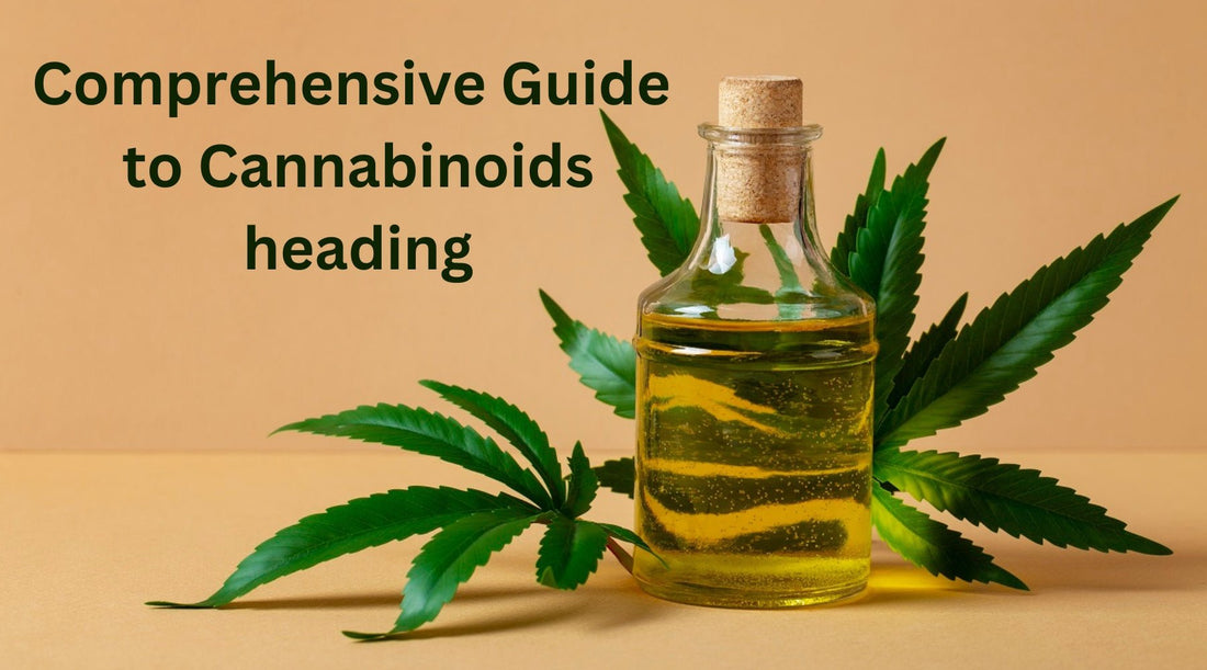 CBD vs. Delta-8: A Comprehensive Guide to Cannabinoids - Tree Spirit Wellness 