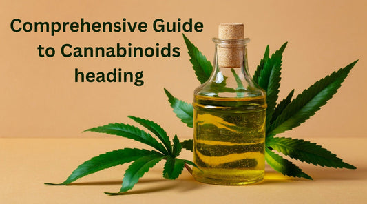 CBD vs. Delta-8: A Comprehensive Guide to Cannabinoids - Tree Spirit Wellness 
