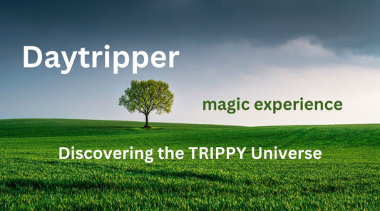 Discovering the TRIPPY Universe of Daytripper Magic Mushrooms - Tree Spirit Wellness 