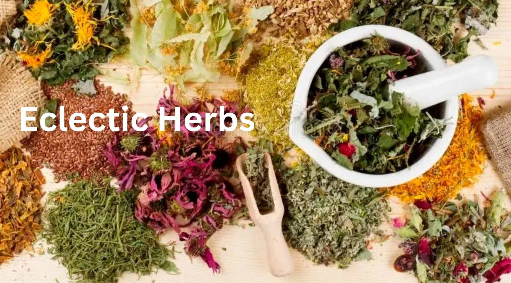 Eclectic Herbs: A Company of Excellence - Tree Spirit Wellness 