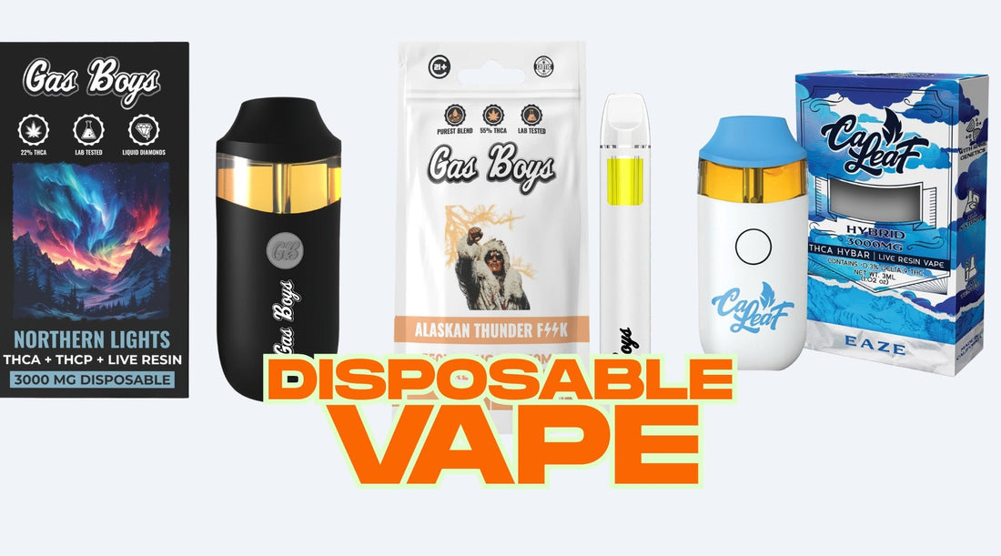 Effortless Vaping: The Simplicity of Disposable - Tree Spirit Wellness 
