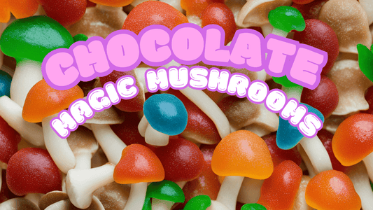 Magic Mushroom Chocolate: A Complete Guide to Psychedelic Edibles 🍄✨ - Tree Spirit Wellness