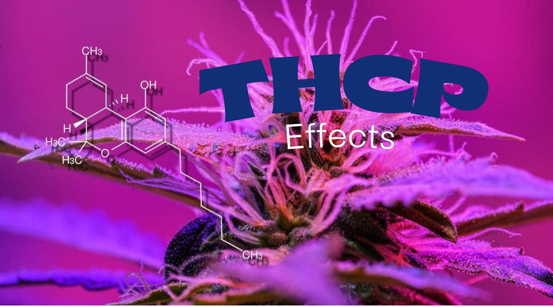 THCP Effects Explained: The Strongest Cannabinoid You’ve Never Heard Of - Tree Spirit Wellness 