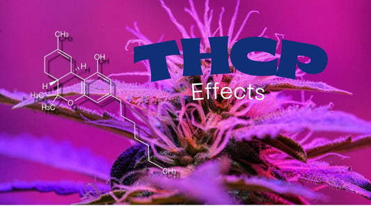 THCP Effects Explained: The Strongest Cannabinoid You’ve Never Heard Of - Tree Spirit Wellness 