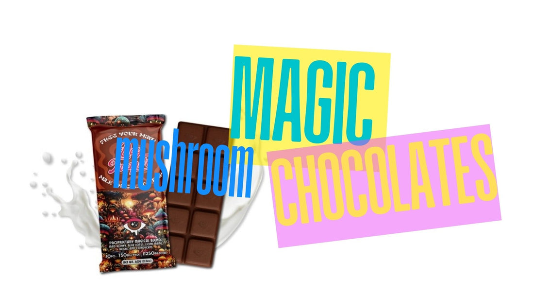 The Enchanting Gloom of magic mushroom chocolates - Tree Spirit Wellness 