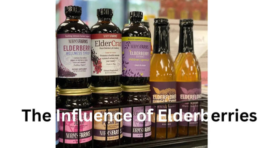 The Influence of Elderberries: Products from Norm's Farms Shine in the Wholesale Marketplace of Tree Spirit Wellness - Tree Spirit Wellness 