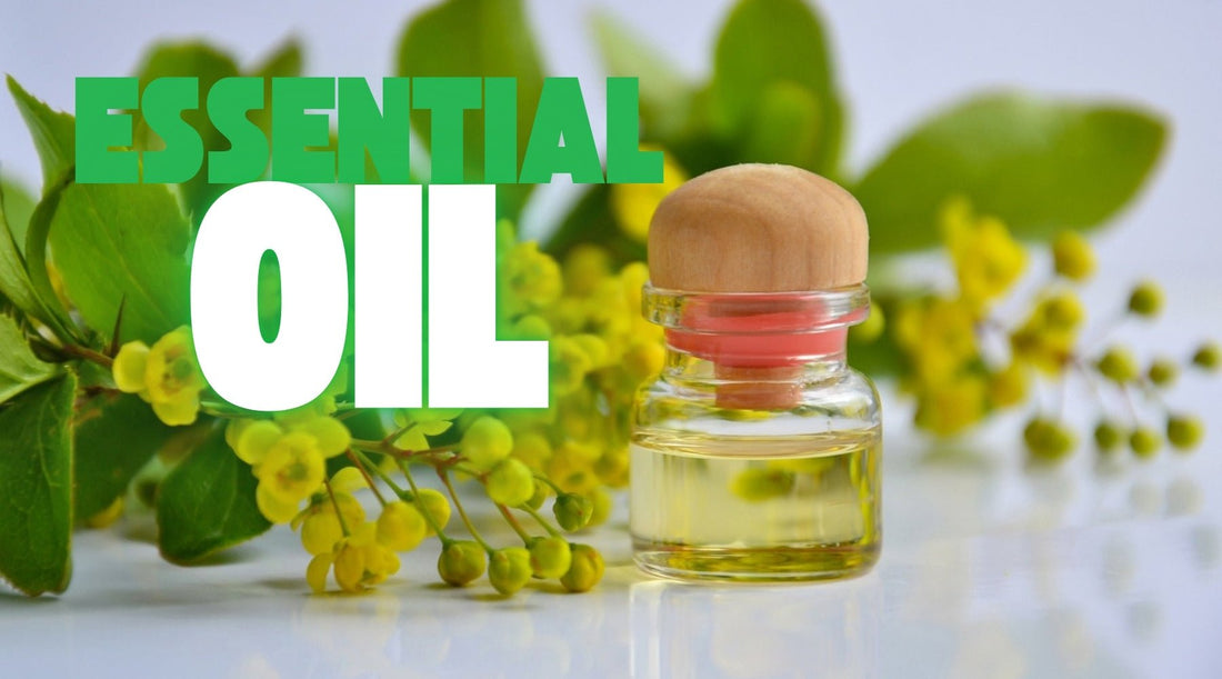 Unveiling the Essential Oil: A Guide to Essence - Tree Spirit Wellness 