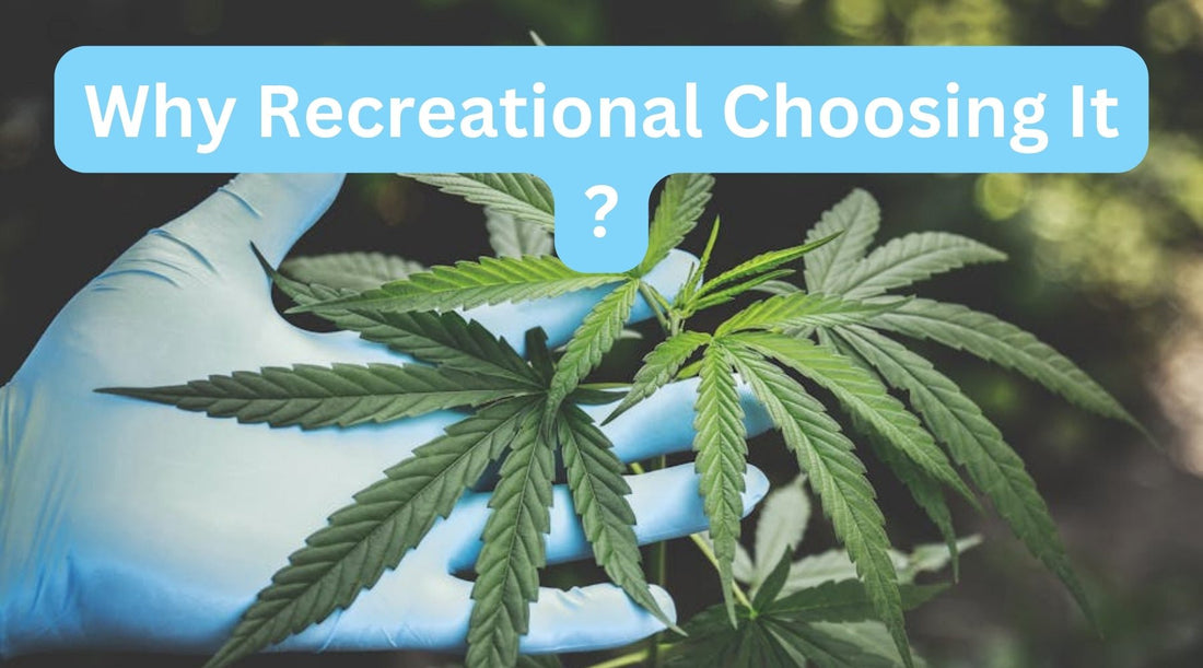 What is Delta-9 THC and Why Are Recreational Users Choosing It Over Other Cannabinoids? - Tree Spirit Wellness 