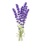 Organic Lavender Smokable - Mystic Journey Path
