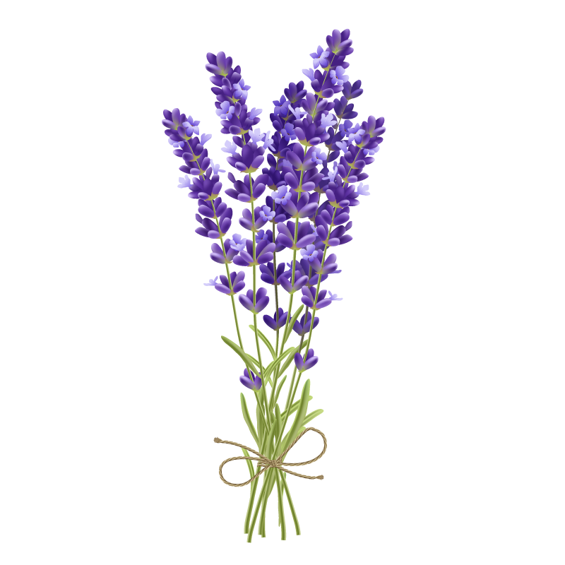 Organic Lavender Smokable - Mystic Journey Path
