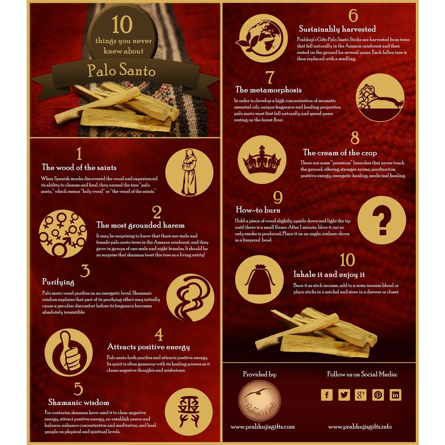 Kit - Palo Santo Cinnamon Cones with Burner - Tree Spirit Wellness