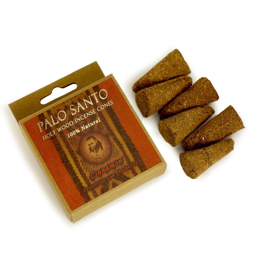 Kit - Palo Santo Cinnamon Cones with Burner - Tree Spirit Wellness