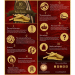 Kit - Palo Santo Copal Cones with Burner - Tree Spirit Wellness