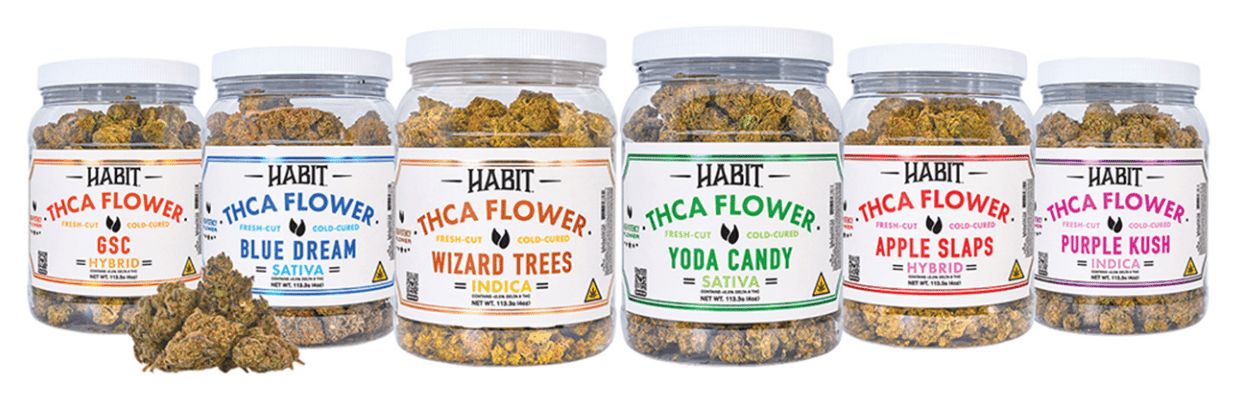 New! THCA Flower Jar Wizard Trees 4oz (Indica) - BULK - Tree Spirit Wellness