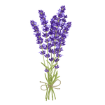 Organic Lavender - Smokable Herbs - Mystic Journey Path