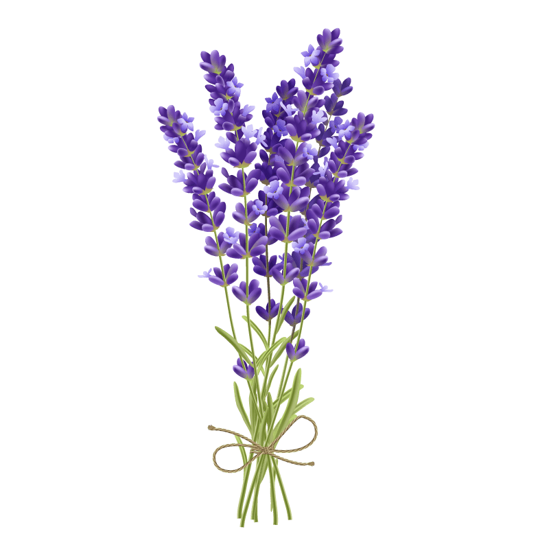 Organic Lavender - Smokable Herbs - Mystic Journey Path